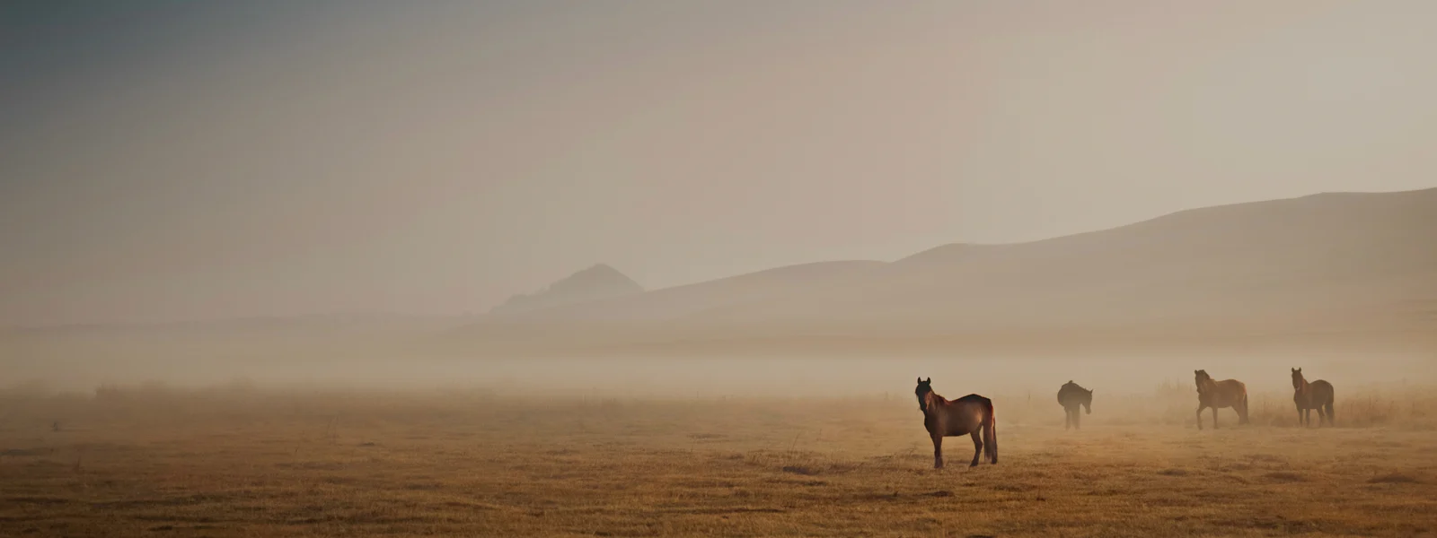 Eleganz trifft sportliche Leidenschaft